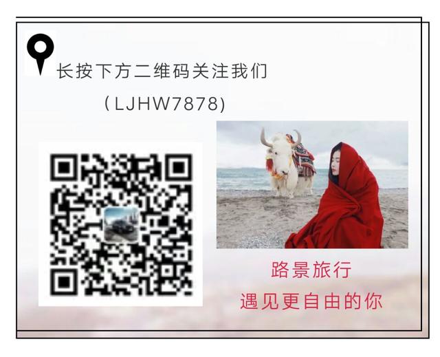 租車(chē)咨詢(xún)公眾號